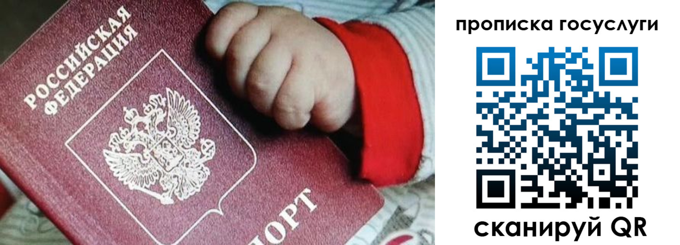 прописка штамп в Полярных Зорях